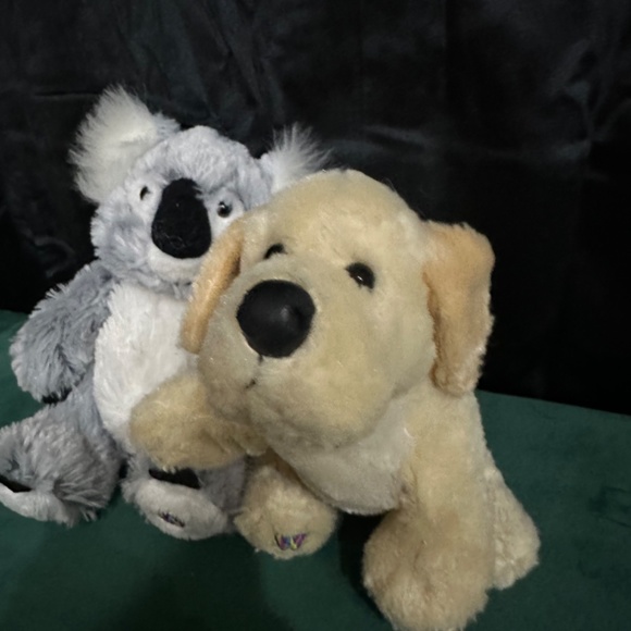 2, Ganz, Cheektowaga, Plush Webkinz/ Puppy and koala bear - Picture 3 of 8